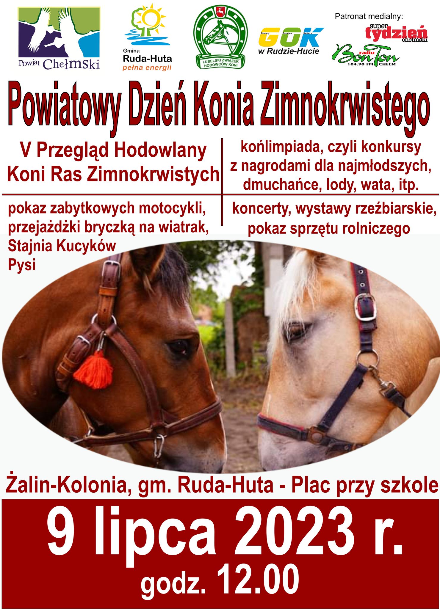 powiatowy dzien konia zimnokrwistego 2023 patronat